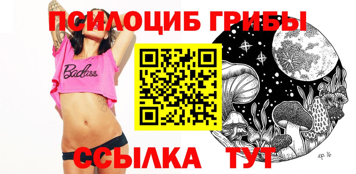 Черногорск  наркошоп  Вход с VPN  Псилоцибиновые грибы ЛСД 
