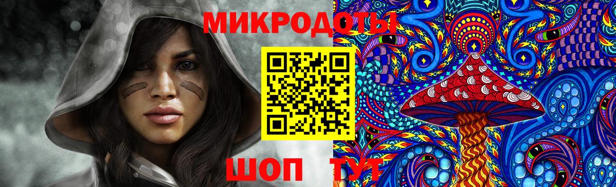 Галлюциногенные грибы Psilocybine cubensis Черногорск
