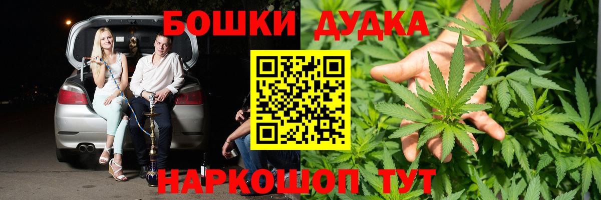 Бошки Шишки план Черногорск